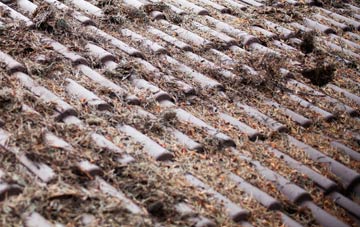 Thelwall roof cleaning companies