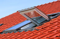 Thelwall roof window